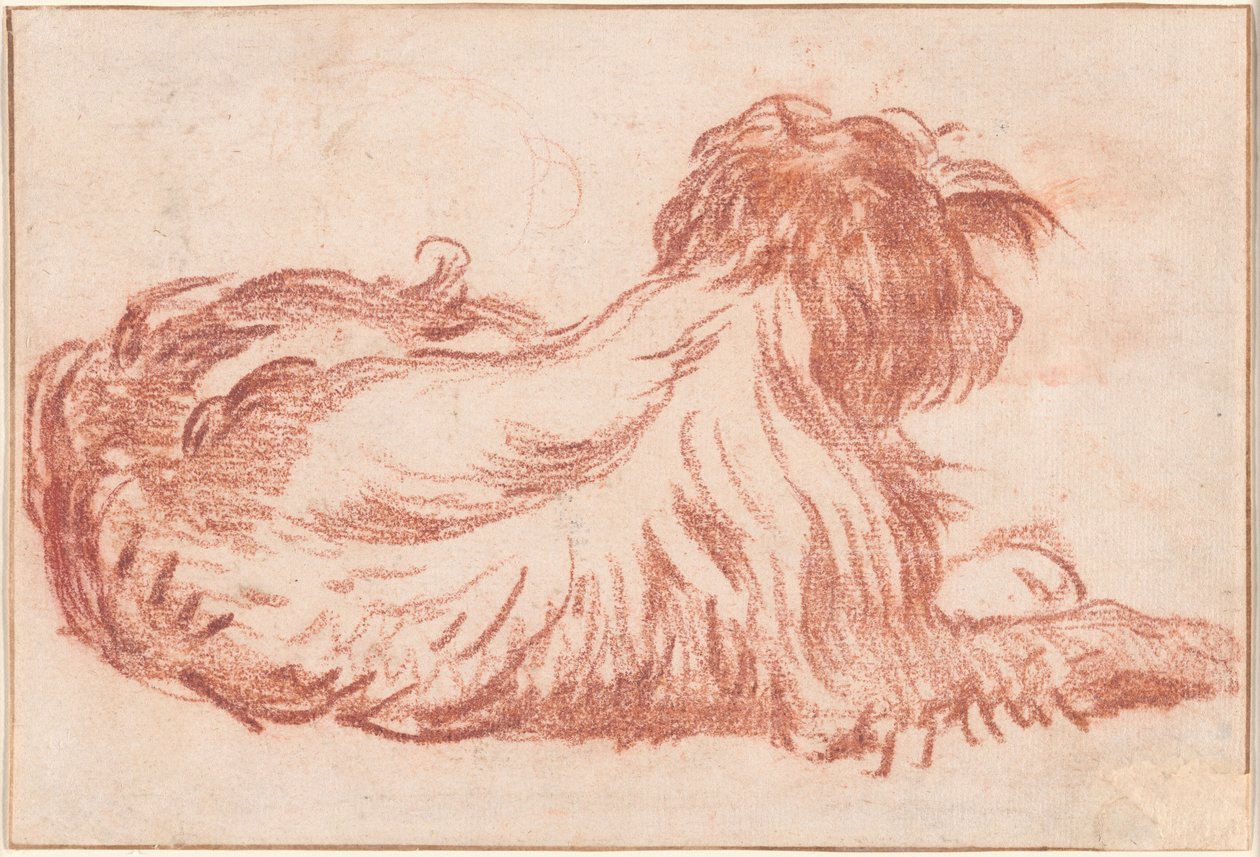 Un cane da Jean Baptiste Greuze