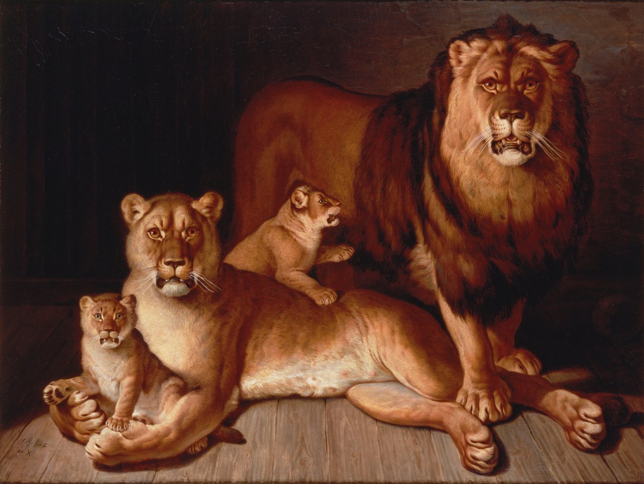 Orgoglio di leoni da Jean Baptiste Huet