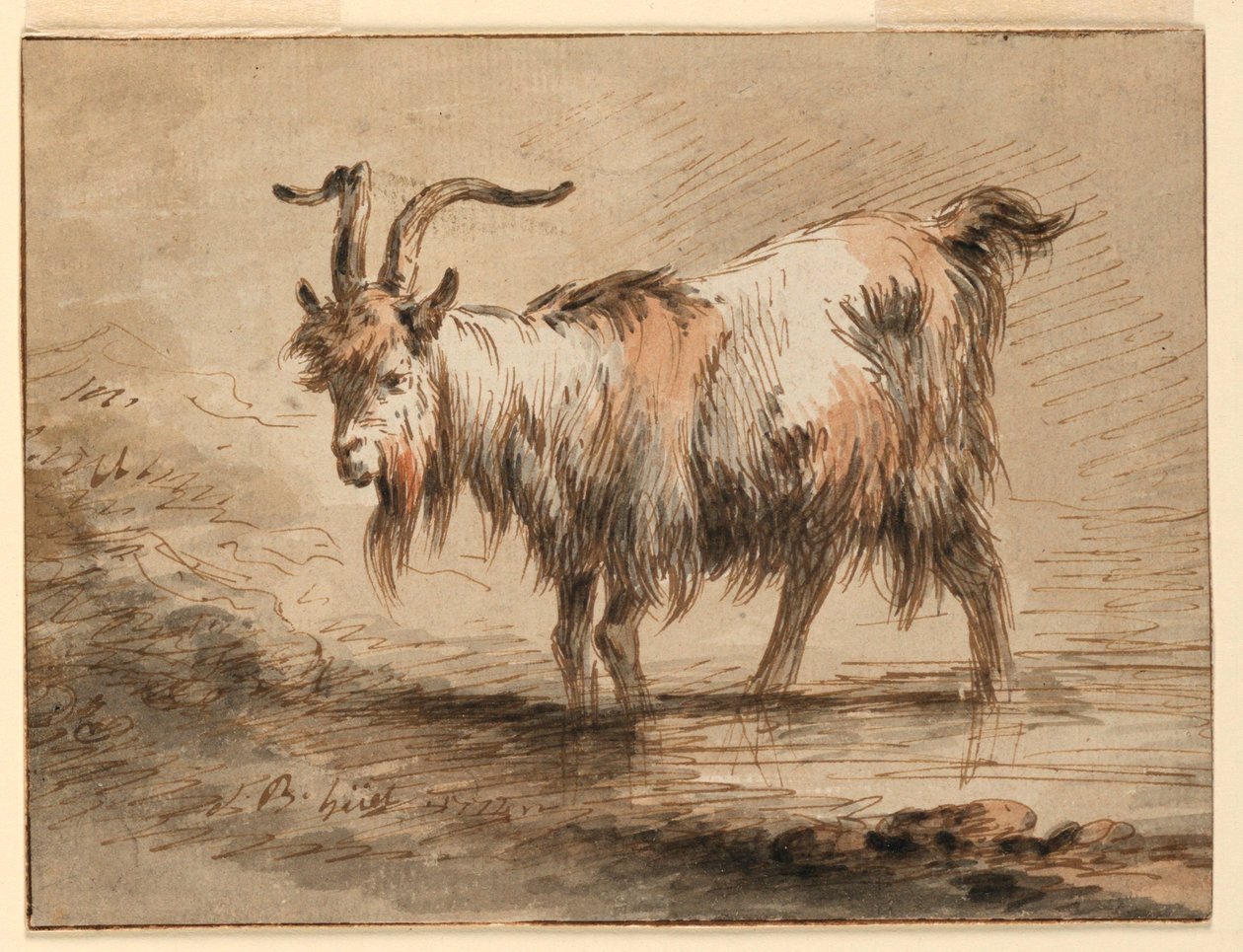 Disegno, Studio di una capra, 1772 da Jean Baptiste Huet