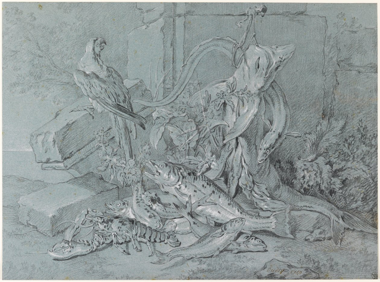 Natura morta con pesce e pappagallo da Jean Baptiste Oudry