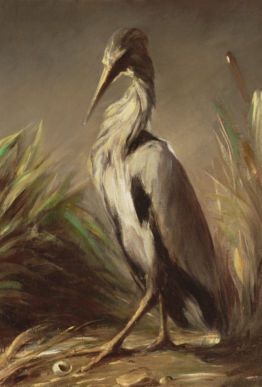 Immagine sconosciuta da Jean Baptiste Oudry