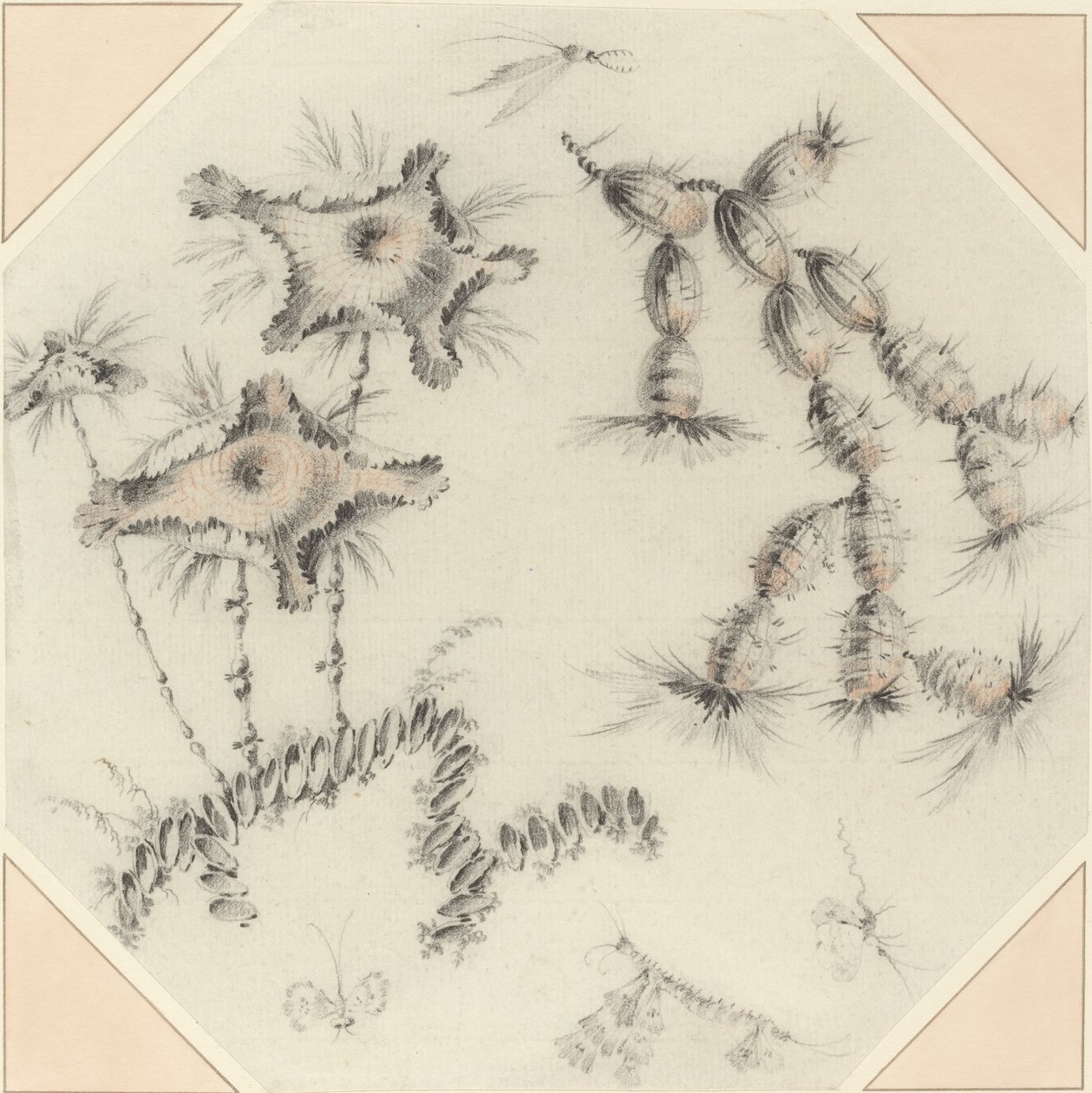 Fiori di bambù e cactus da Jean Baptiste Pillement