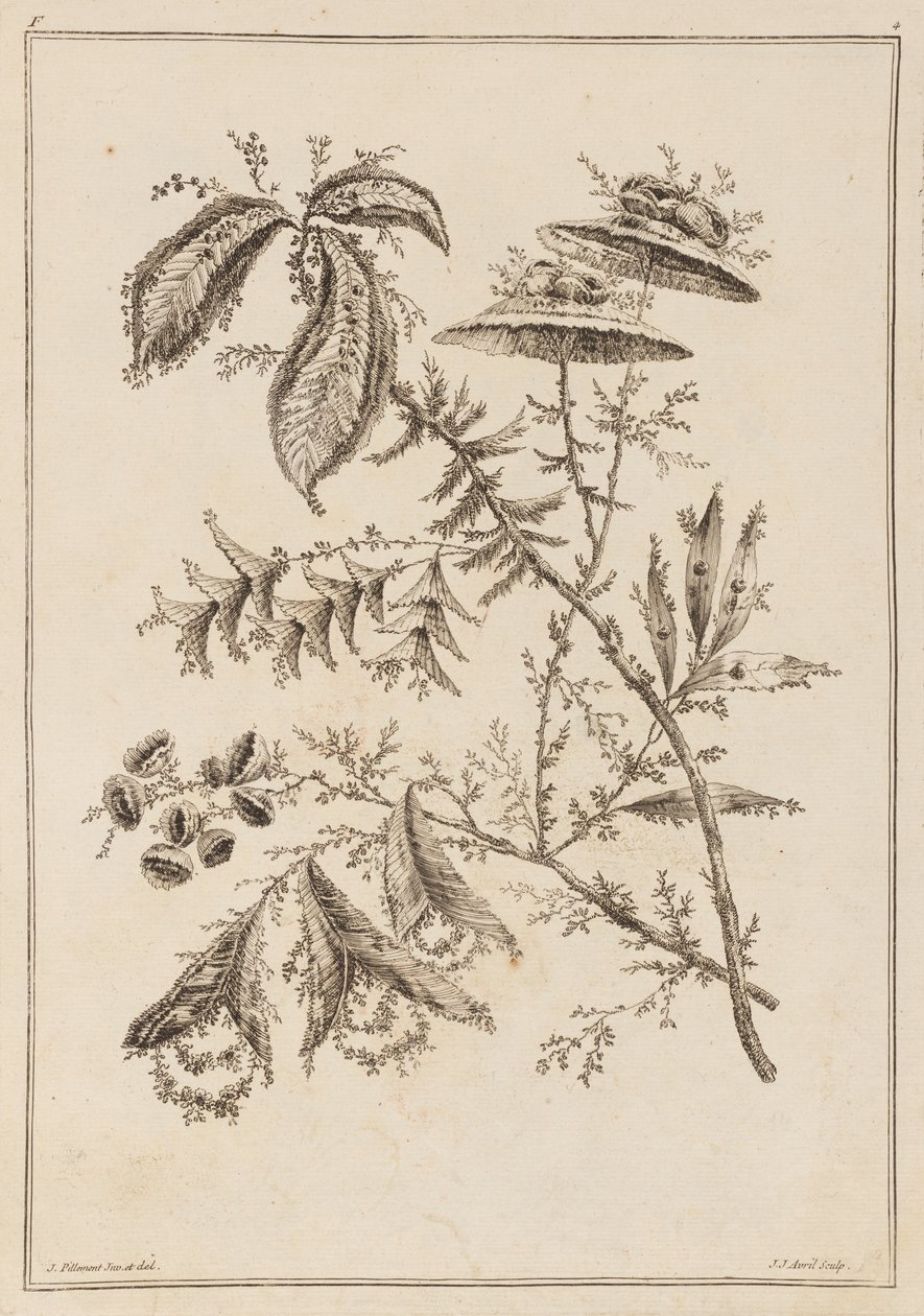Ramo Fiorito da Jean Baptiste Pillement
