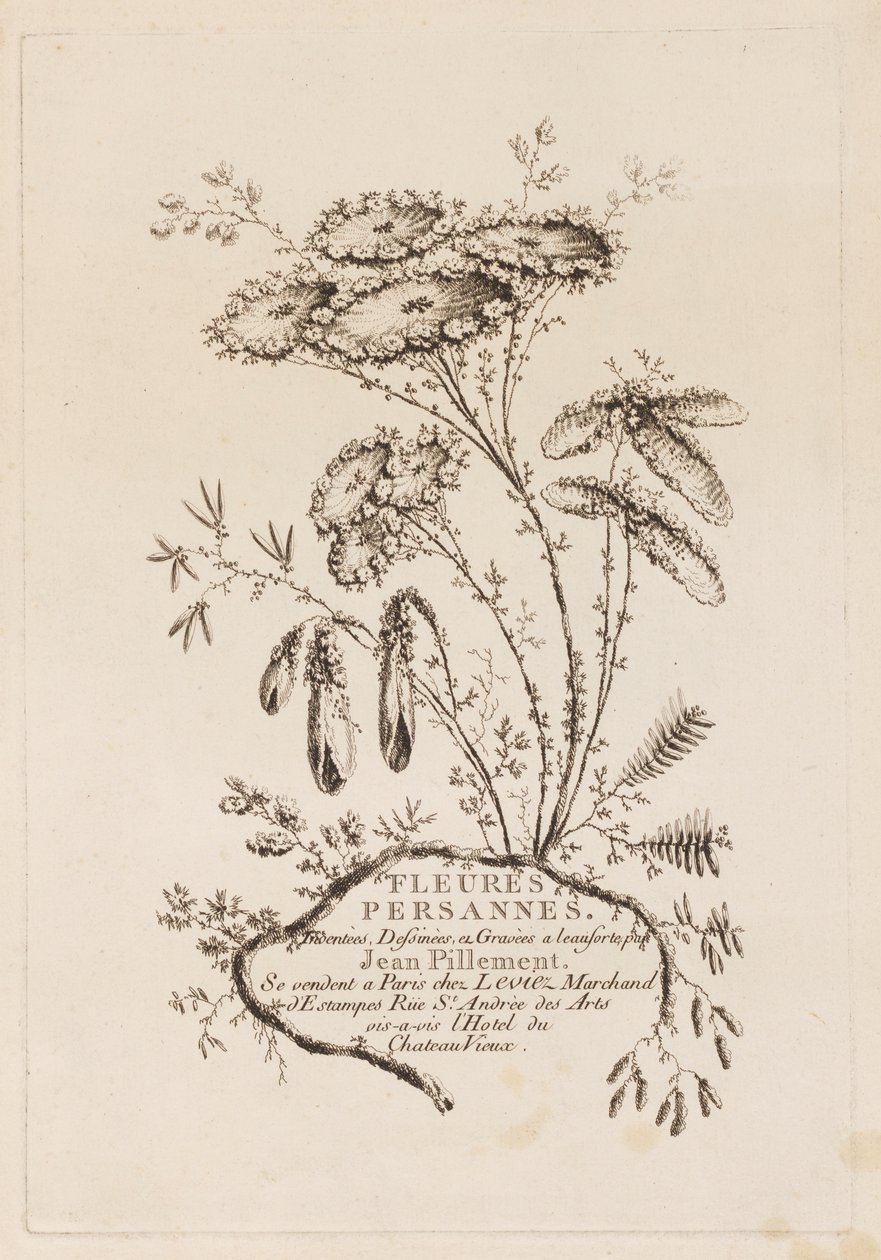 Pagina del titolo, da "Fleures Persannes" da Jean Baptiste Pillement