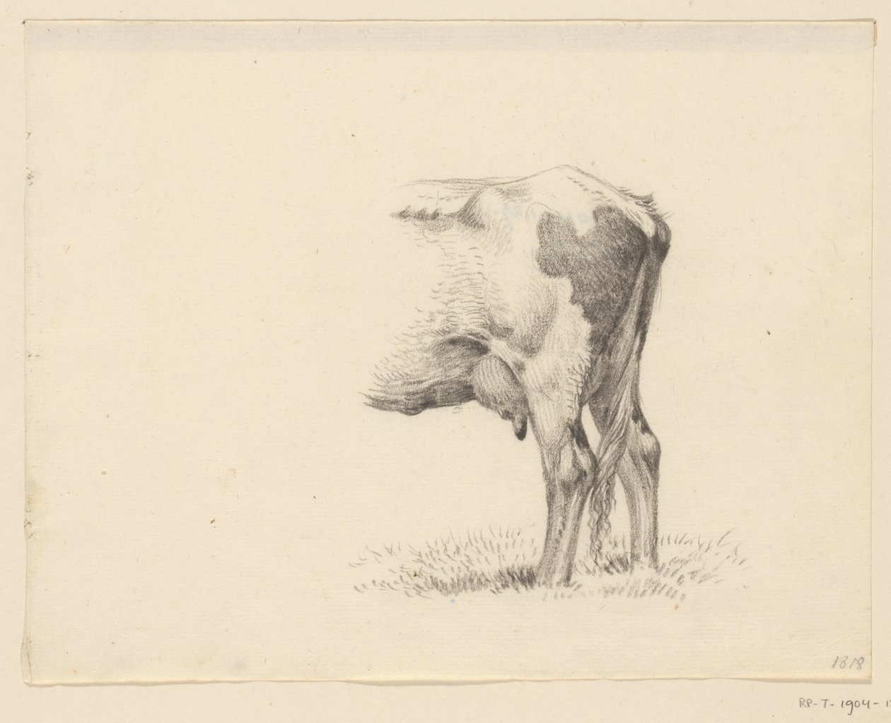 Zampe posteriori di una mucca da Jean Bernard
