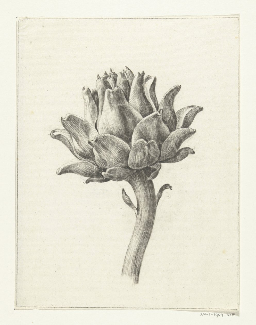 Carciofo da Jean Bernard