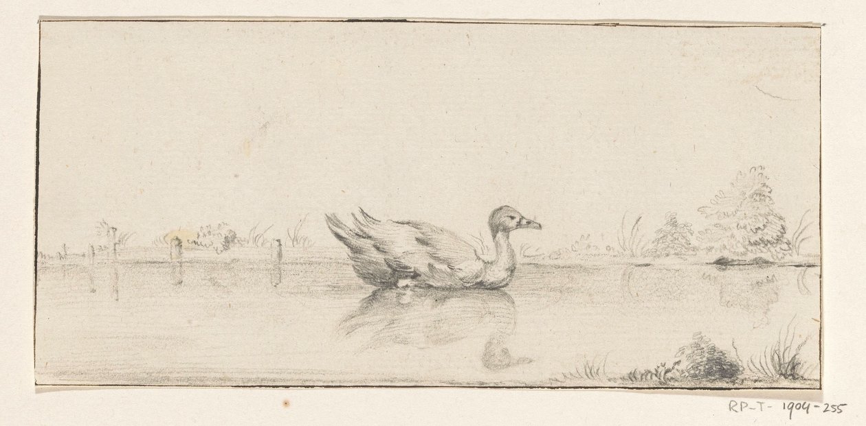 Anatra in acqua da Jean Bernard