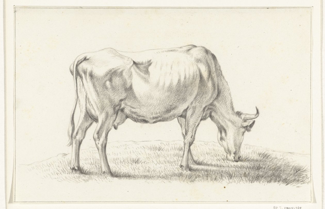 Mucca al pascolo, verso destra da Jean Bernard