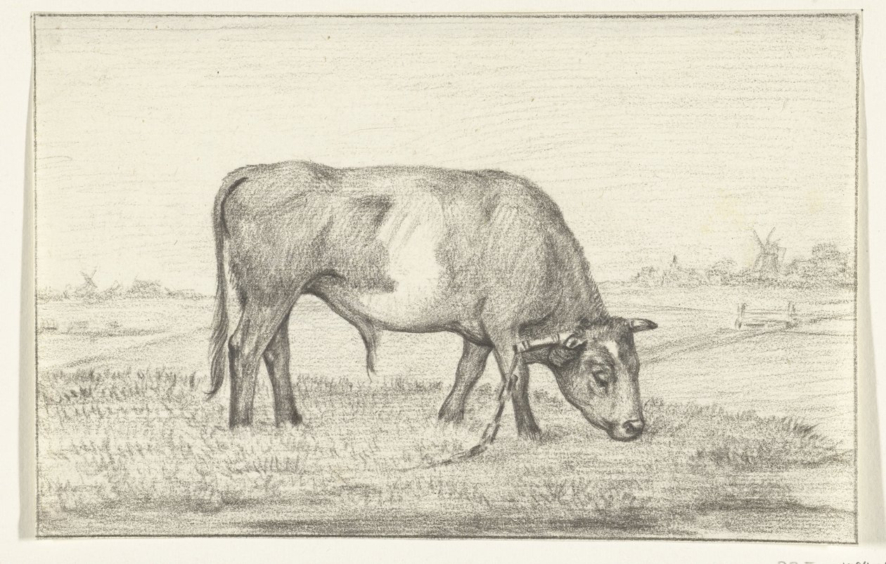 Toro al pascolo in un prato, verso destra da Jean Bernard
