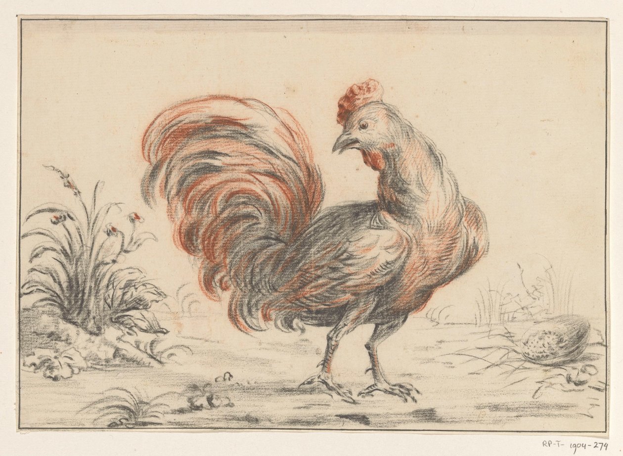 Gallo da Jean Bernard