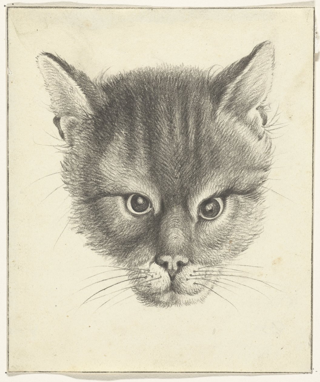 Testa di gatto, di fronte da Jean Bernard