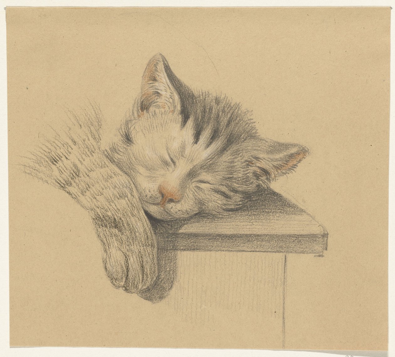 Testa e zampa di un gatto che dorme da Jean Bernard