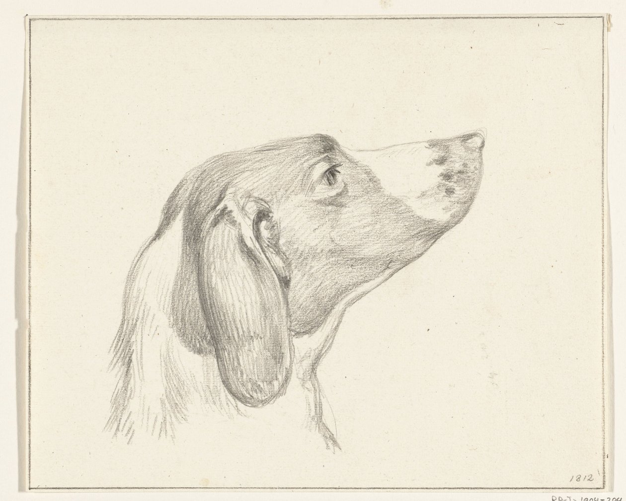 Testa di un cane, a destra da Jean Bernard
