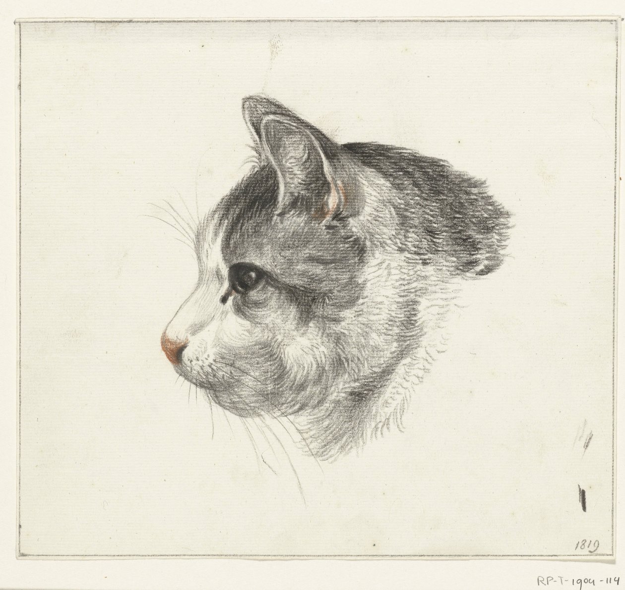 Testa di un gatto, verso sinistra da Jean Bernard
