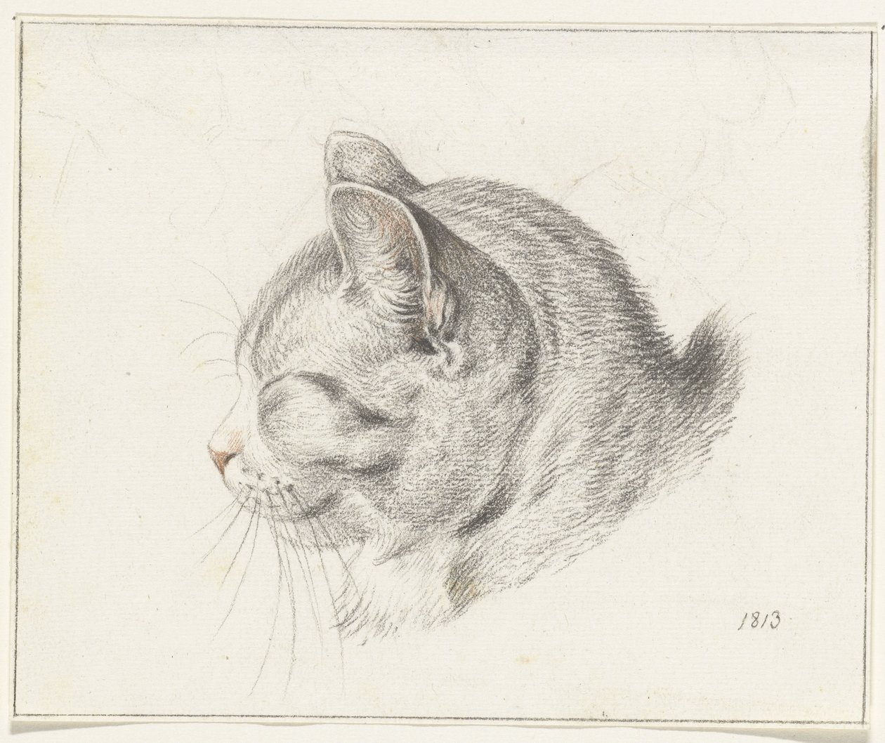 Testa di un gatto, verso sinistra da Jean Bernard