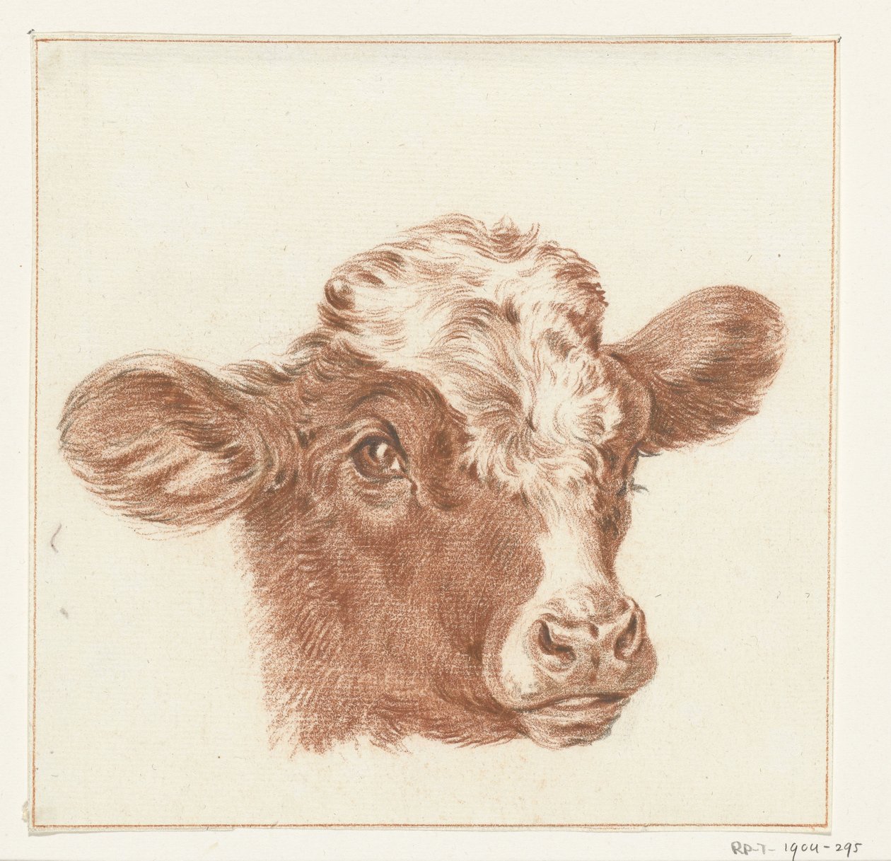 Testa di una mucca da Jean Bernard