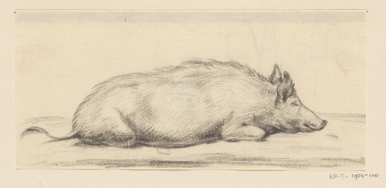 Maiale sdraiato, verso destra da Jean Bernard