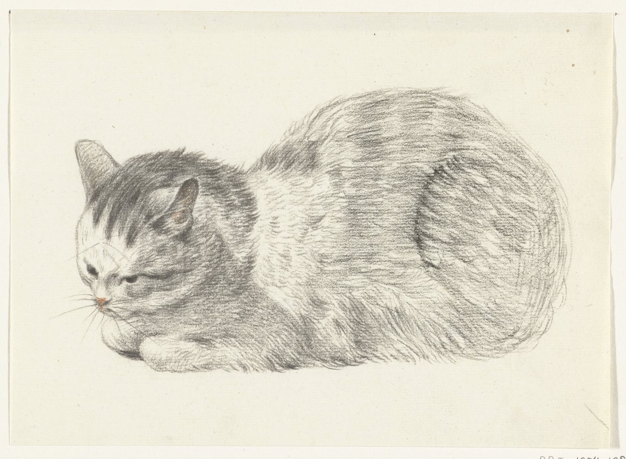 Gatto sdraiato, verso sinistra da Jean Bernard