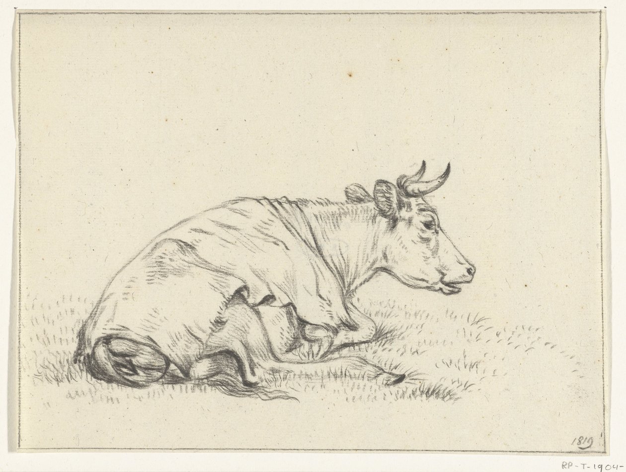 Mucca sdraiata, verso destra da Jean Bernard