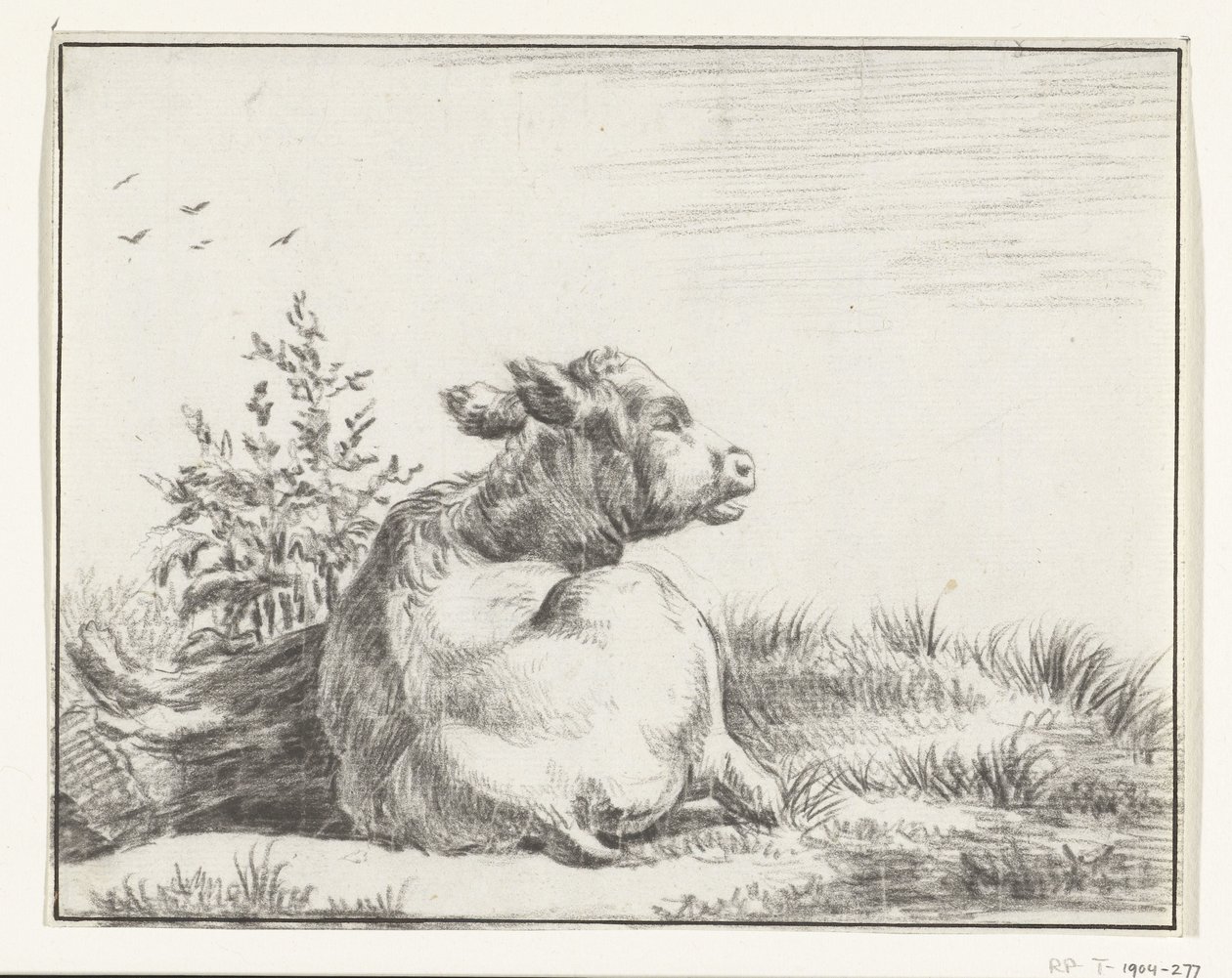 Mucca sdraiata, da dietro da Jean Bernard