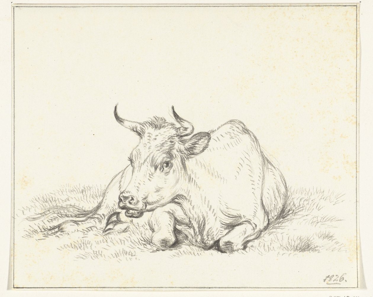 Mucca sdraiata, di fronte da Jean Bernard