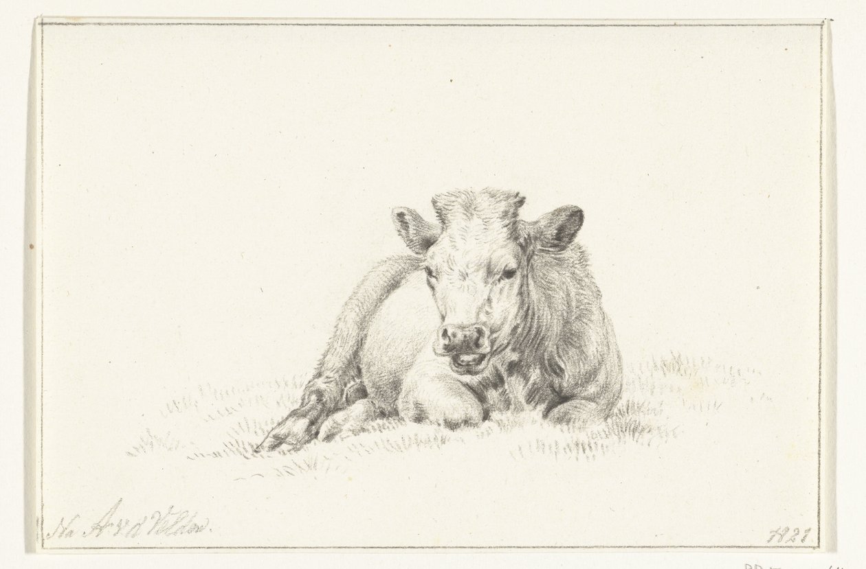 Mucca sdraiata, di fronte da Jean Bernard