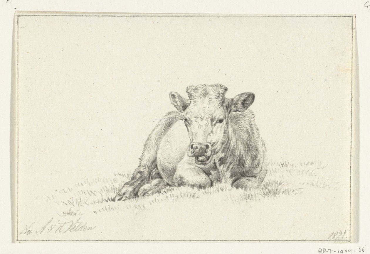 Mucca sdraiata, di fronte da Jean Bernard