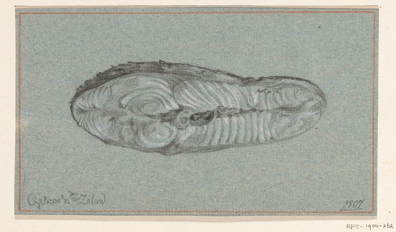 Trancio di salmone cotto da Jean Bernard