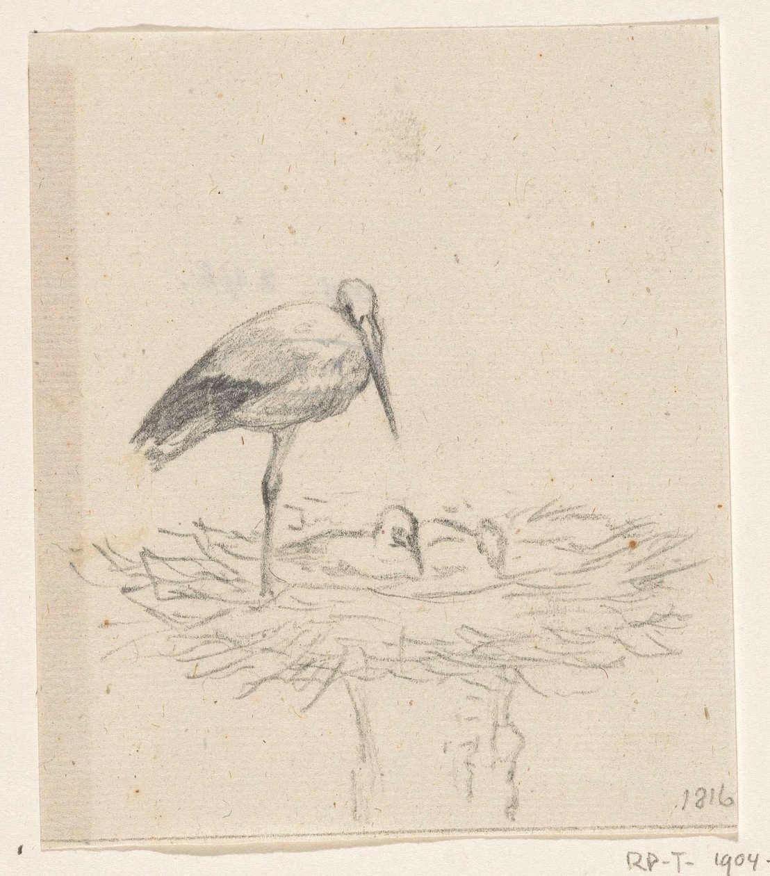 Cicogna sul nido da Jean Bernard