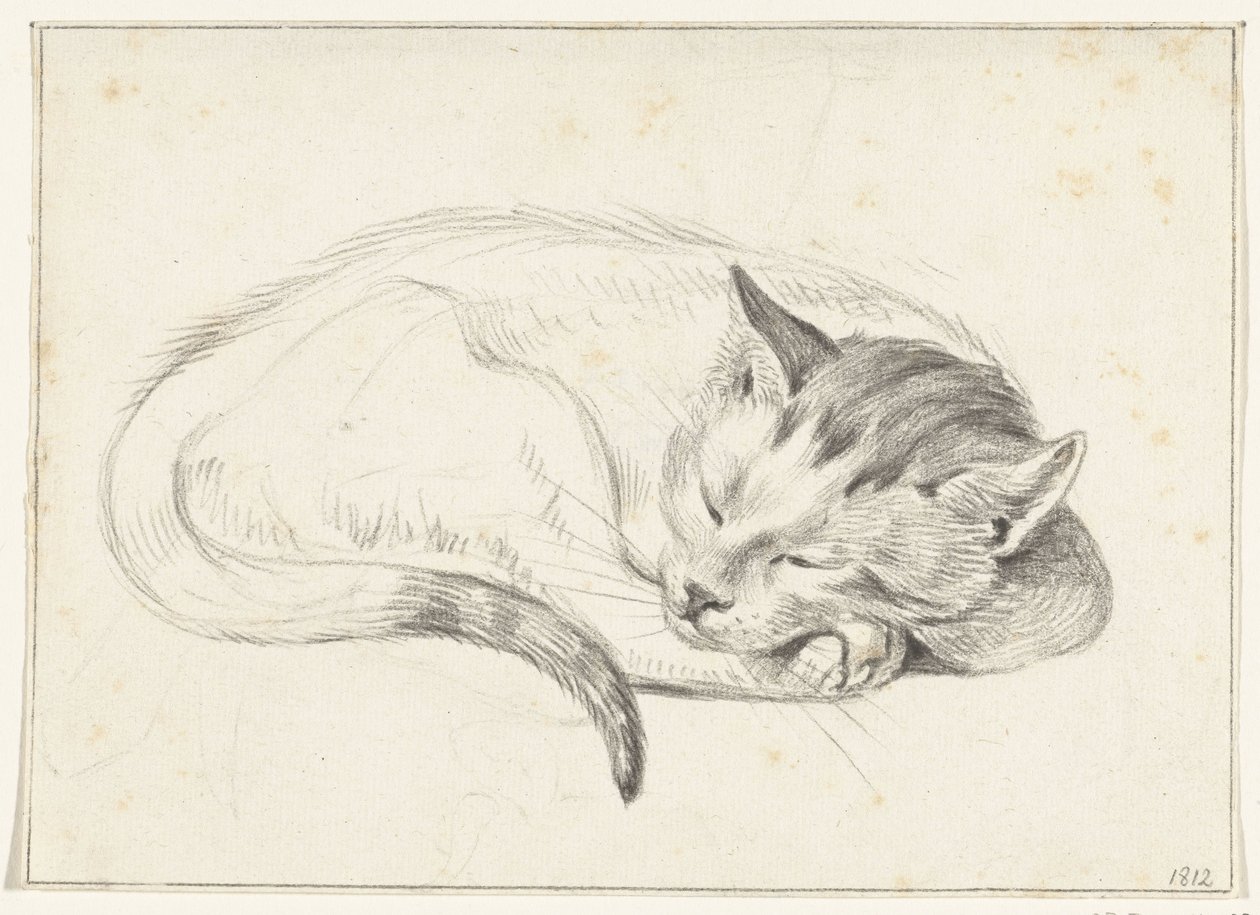 Gatto arrotolato che dorme da Jean Bernard