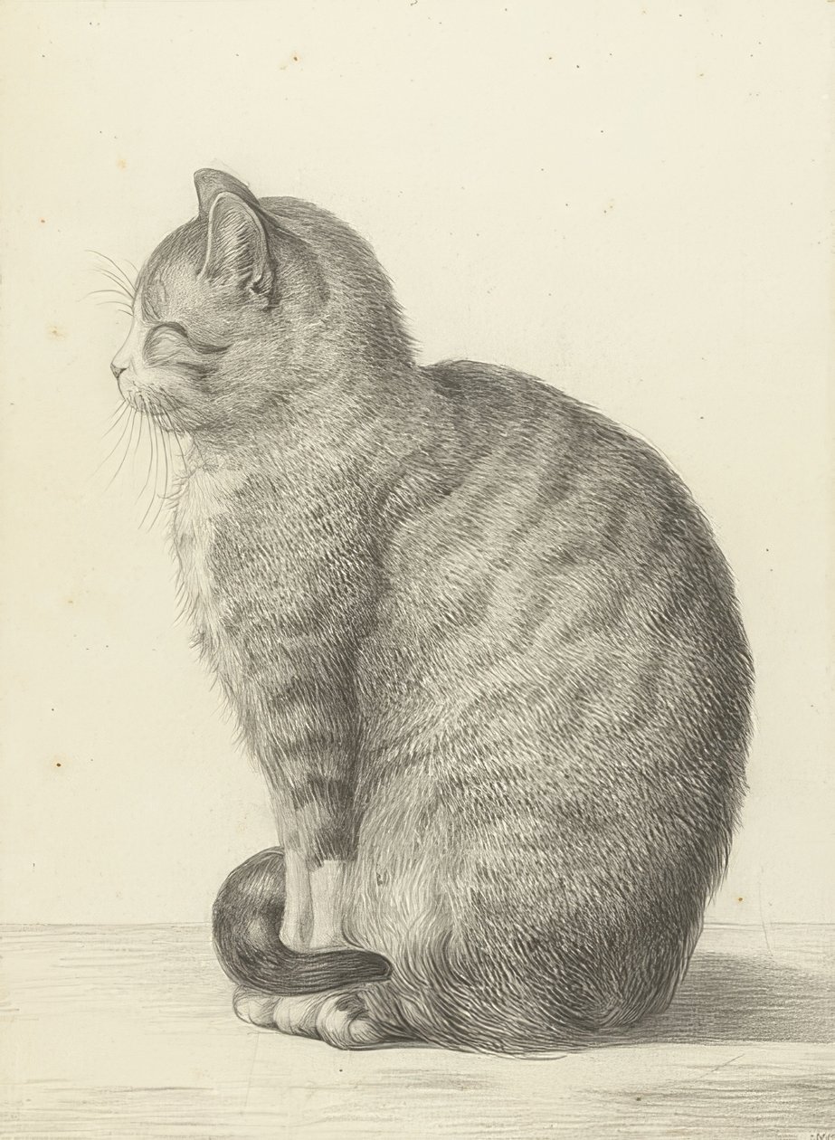 Gatto seduto, a sinistra. 1815 da Jean Bernard