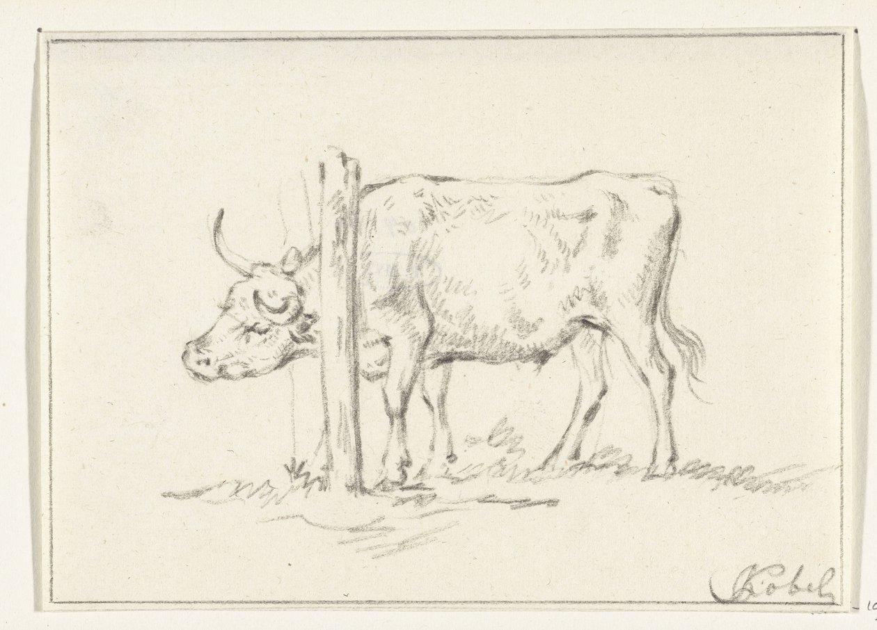 Mucca in piedi, con la testa tra i pali da Jean Bernard