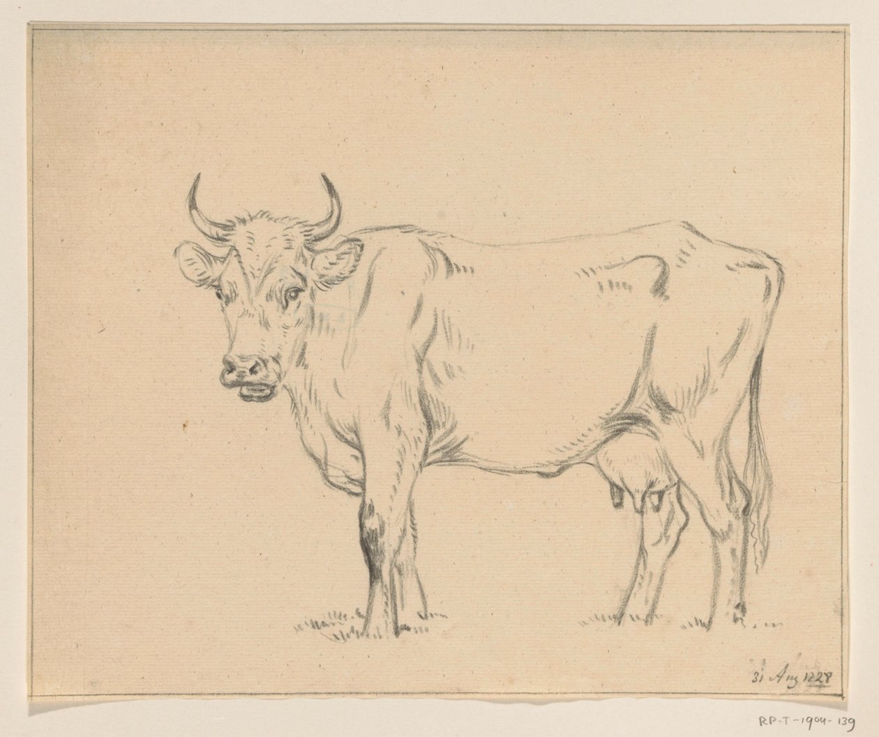 Mucca in piedi, verso sinistra da Jean Bernard