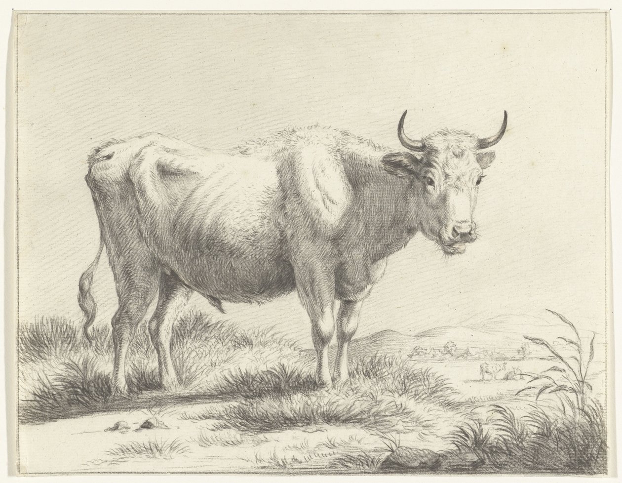 Mucca in piedi, verso destra da Jean Bernard
