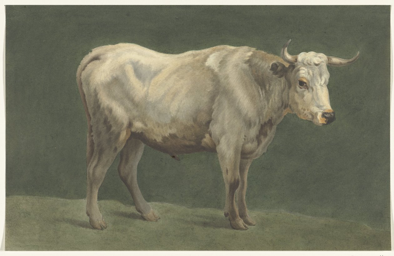 Toro in piedi, verso destra da Jean Bernard