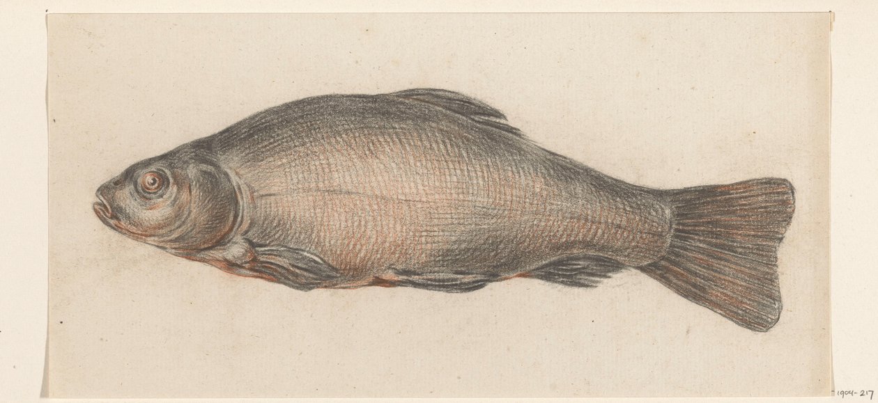 Pesce, verso sinistra da Jean Bernard