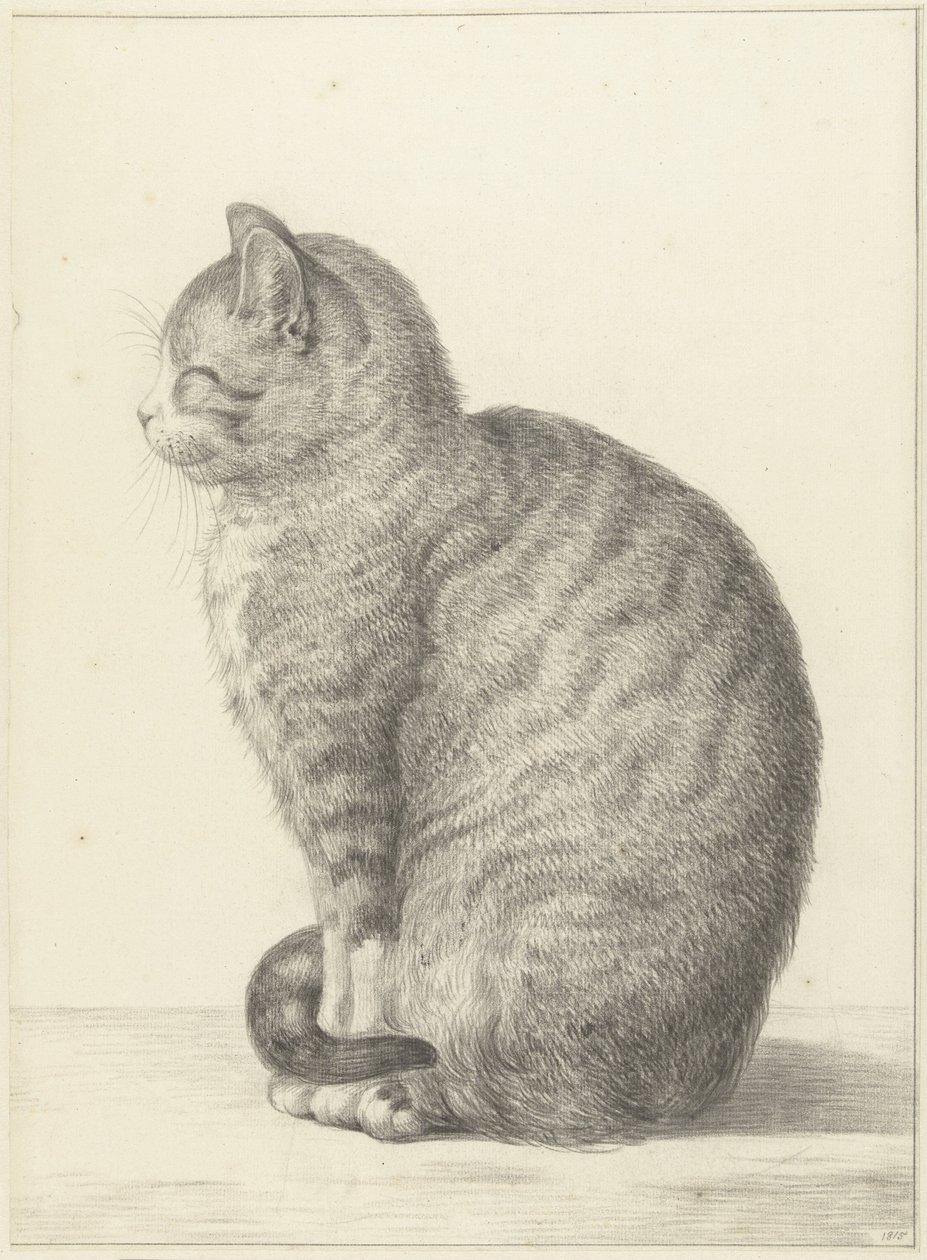 Gatto seduto, verso sinistra da Jean Bernard