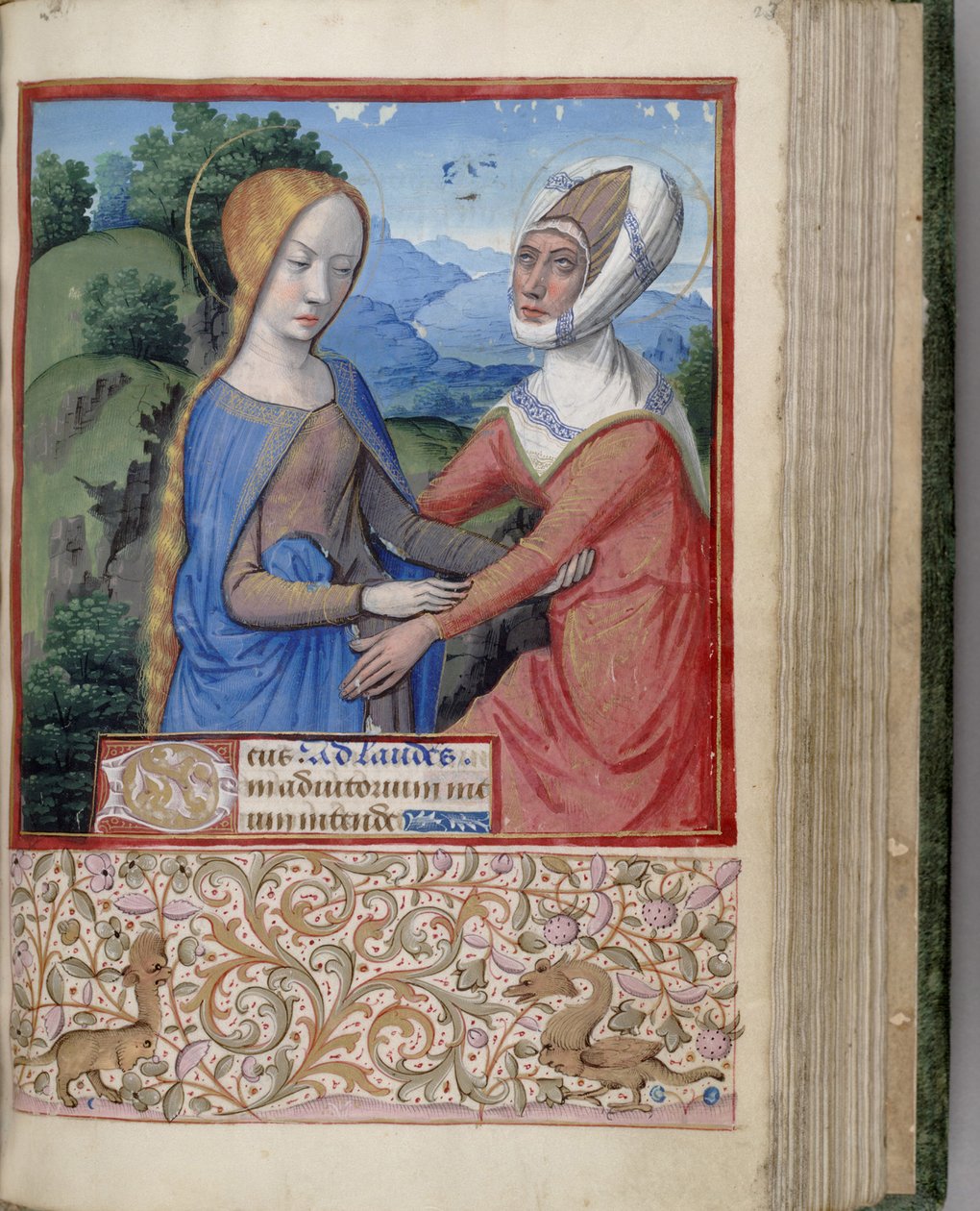 La Visitazione Libro d