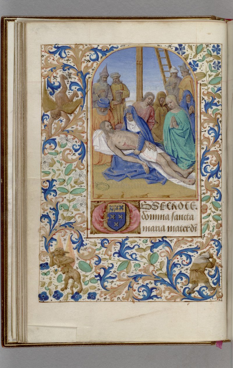 Pietà Libro d