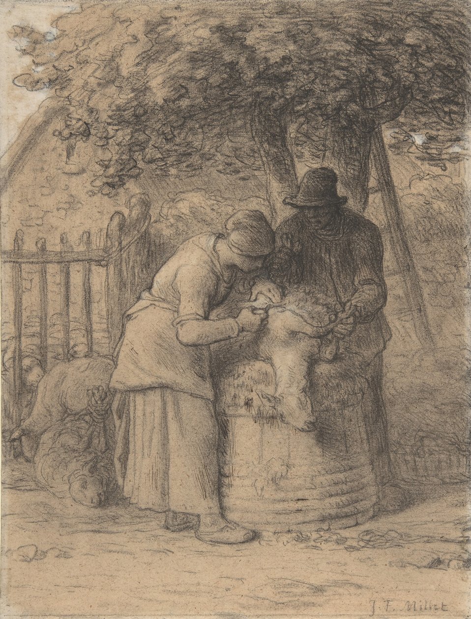 Tosatura delle pecore sotto un albero da Jean Francois Millet