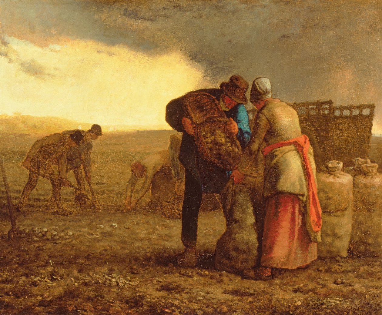 La raccolta delle patate, 1855 da Jean Francois Millet