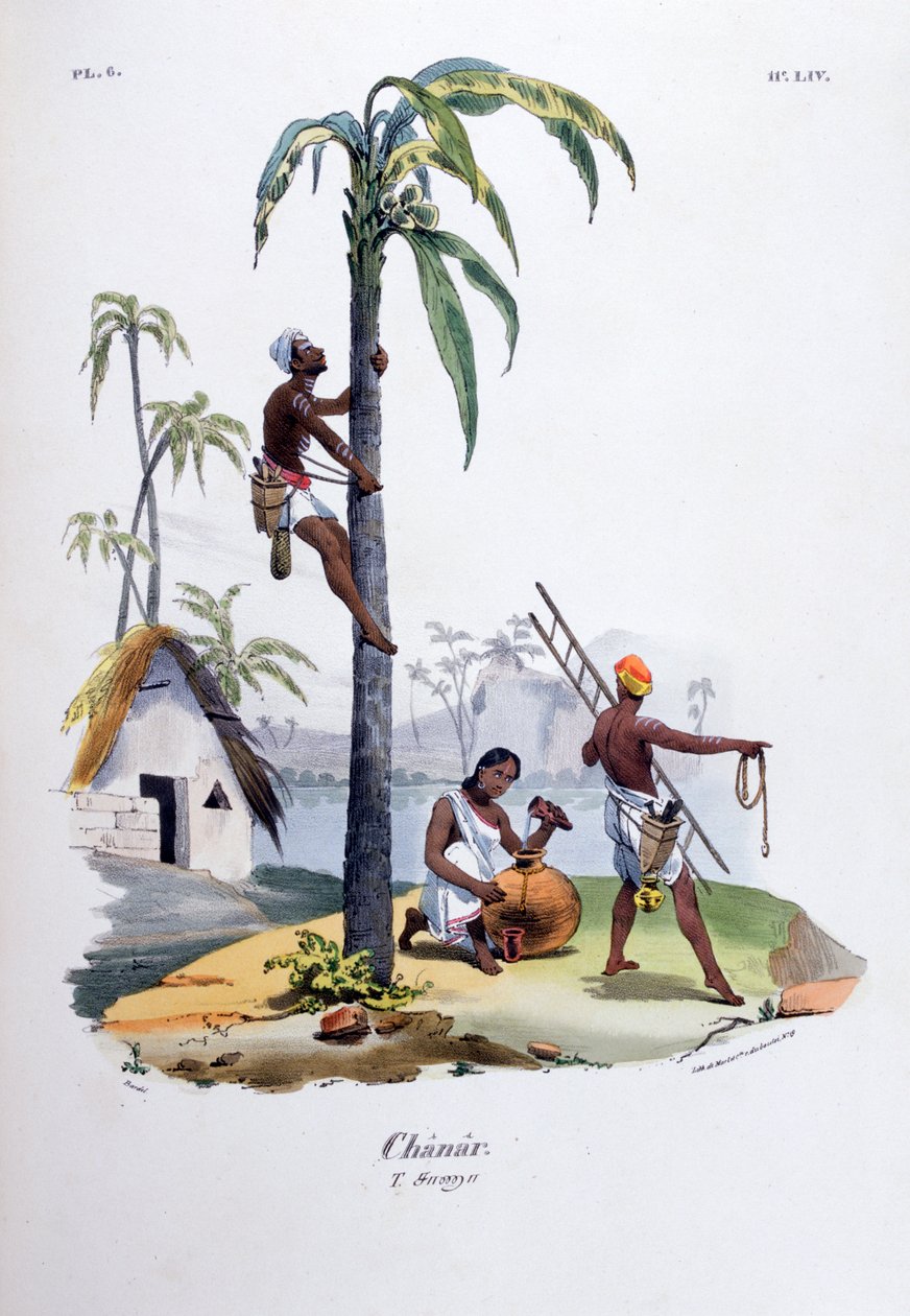 Chanar da Jean Henri Marlet