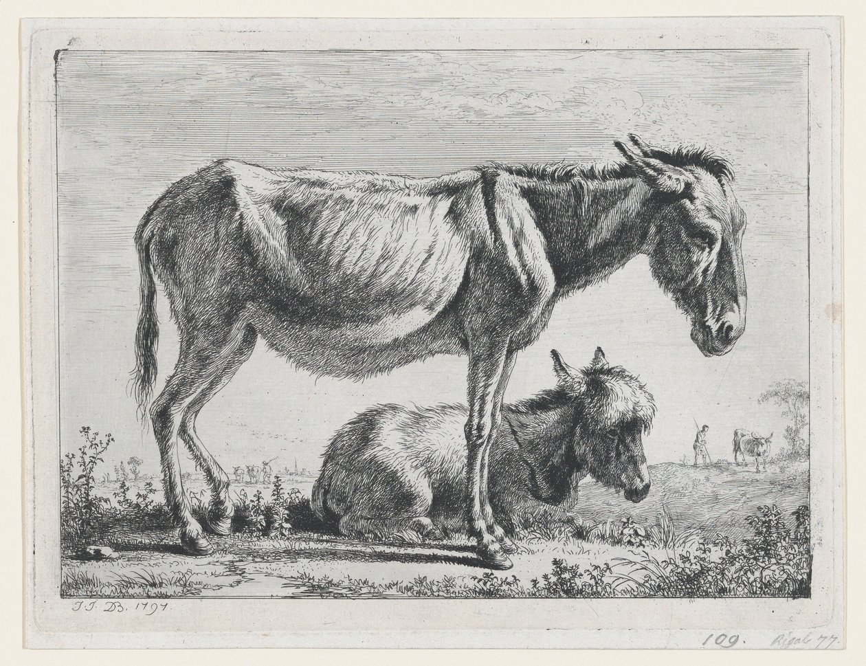 Jenny con il suo puledro, 1797 da Jean Jacques de Boissieu