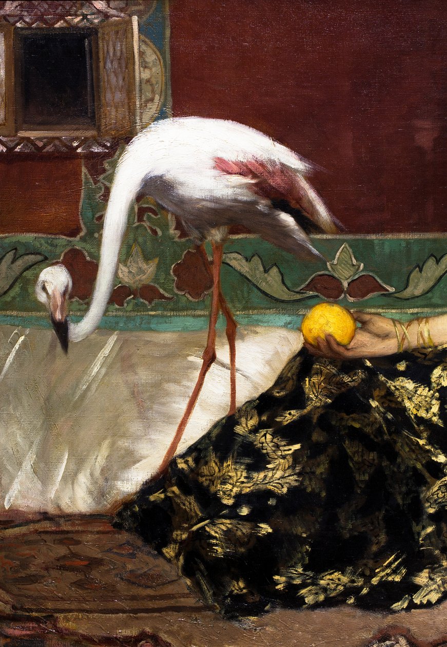 Il fenicottero rosa (particolare) da Jean Joseph Benjamin Constant
