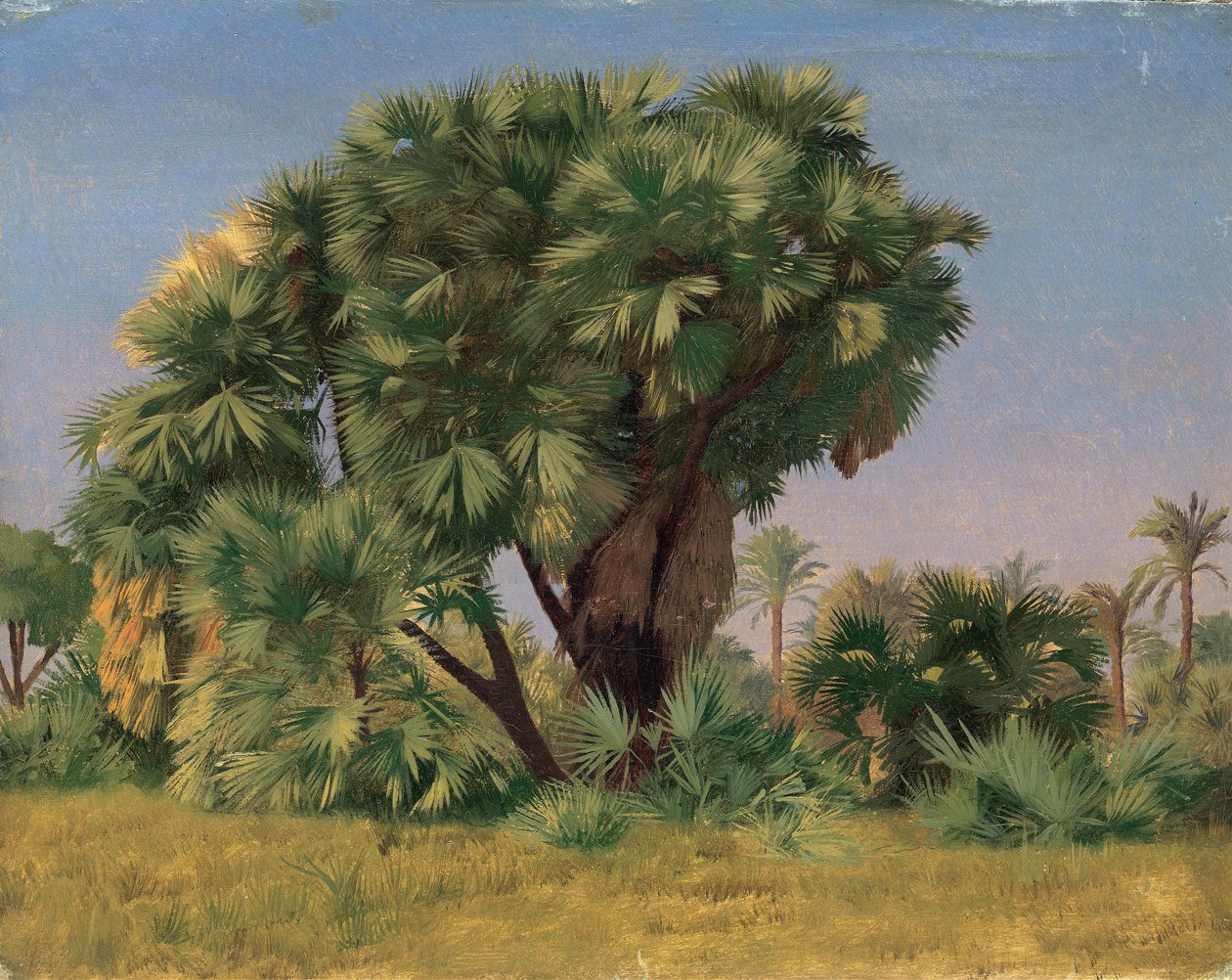 Studio di palme da Jean Leon Gerome