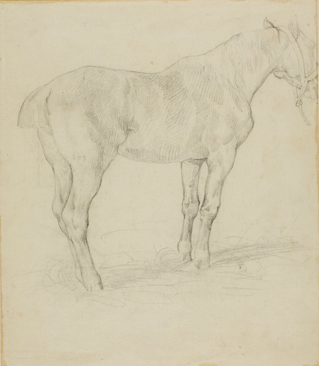 Cavallo in piedi da Jean Louis André Théodore Géricault