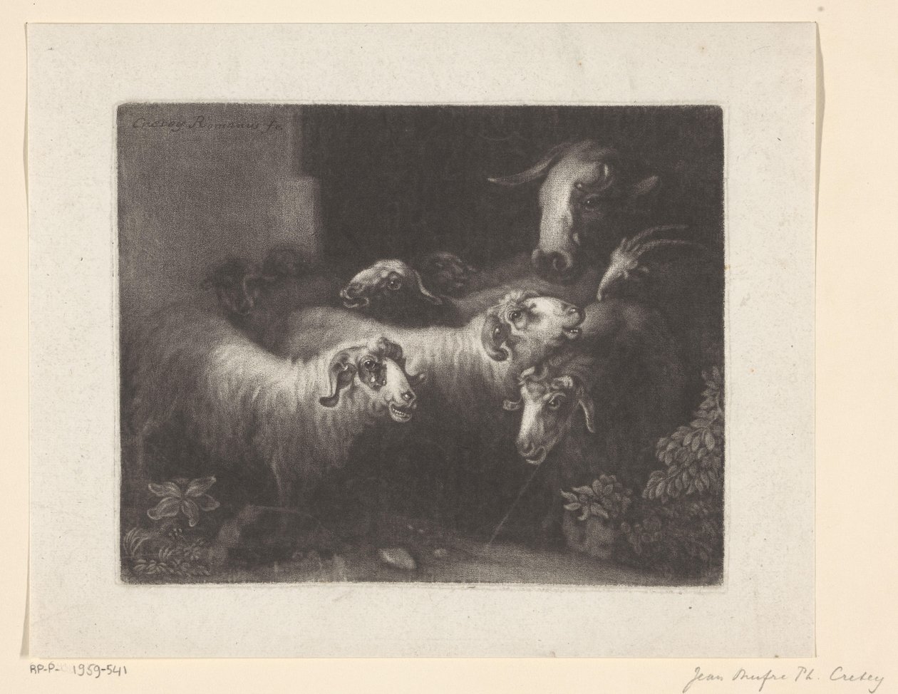 Gregge di pecore con una mucca da Jean Onufre Philippe Cretey