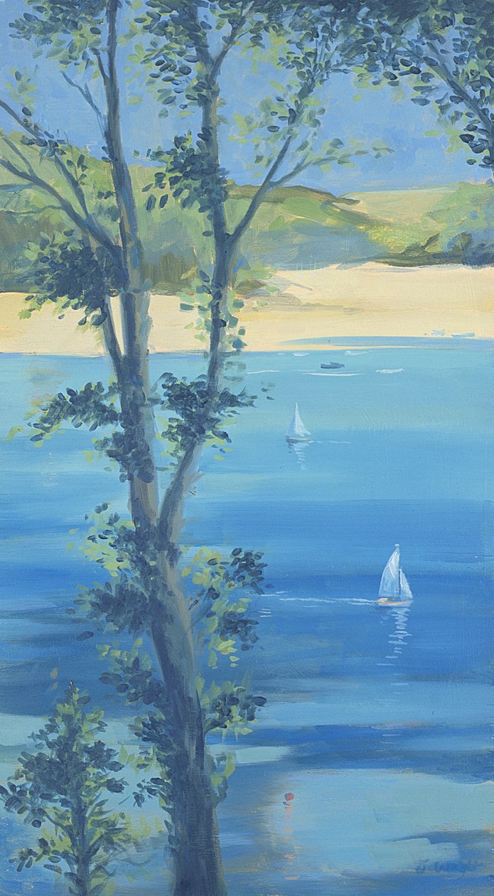 Attraverso gli alberi, 2000 da Jennifer Wright