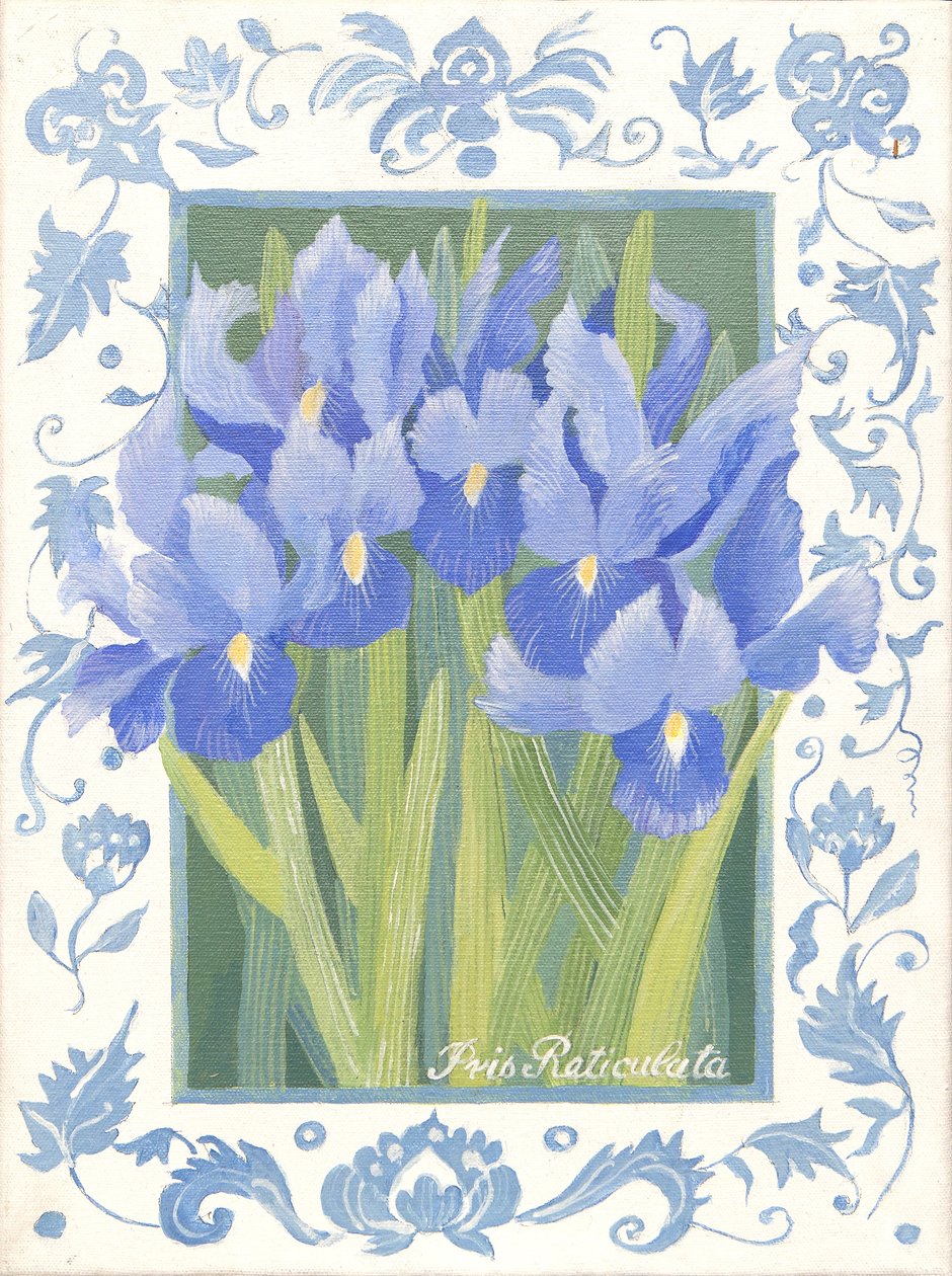 Iris blu (acrilico) da Jennifer Abbott