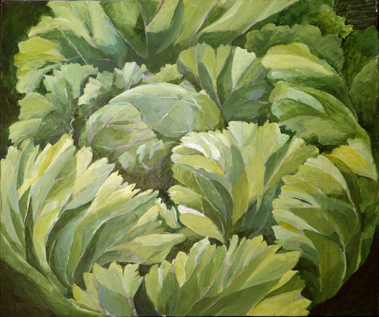 Cavolo, 2013 (acrilico su tela) da Jennifer Abbott